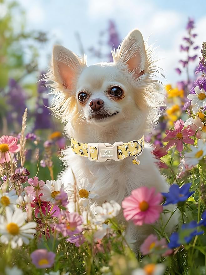 Bee & Daisy Dog Collar for Large Dogs - Spring/Summer Cartoon Yellow Dog Collars, Lightweight Adjustable Male Female Dogs Collars with Quick Release Buckle L