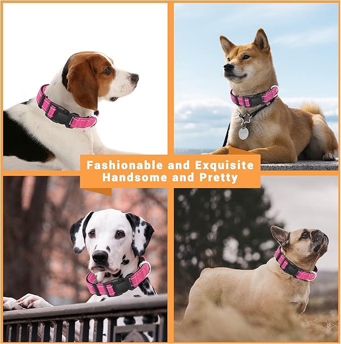 2 Pack Reflective Dog Collar with Safety Locking Buckle, Adjustable Soft Breathable Comfortable Nylon Pet Collar for Small, Medium and Large Dogs, Hotpink, XL