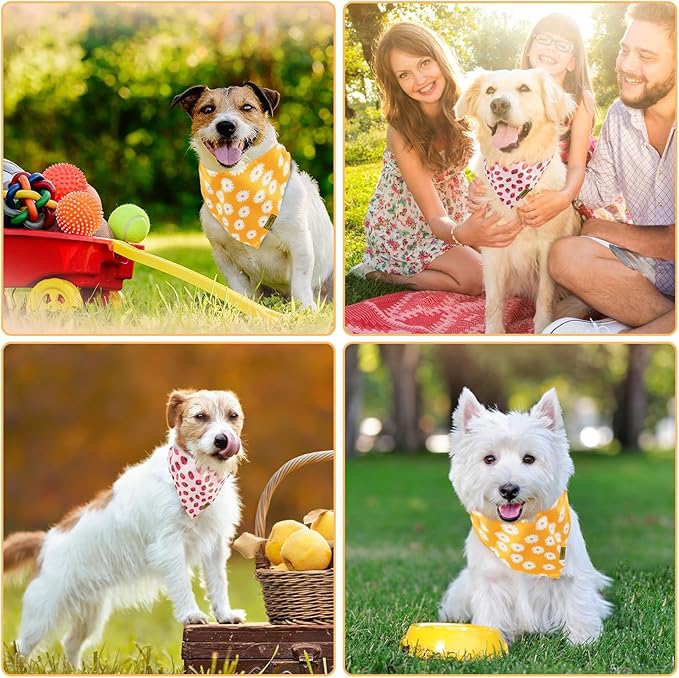 Summer Spring Dog Bandanas 2PCS, Premium Durable Fabric Dog Scarf Bid Handkerchief Bandanas for Boy Girl Small Medium Large Dogs (Medium)