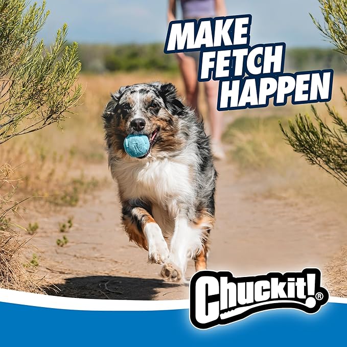 Chuckit! Rebounce Ball Dog Toy - Bouncy Fetch Balls for Dogs 20-60 lbs - Made from Durable Rubber - Outdoor Pet Toys - Size Medium - 2.5-inch Diameter - Pack of 2 - Blue