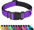 Reflective Dog Collar, Adjustable Soft Neoprene Padded Nylon Pet Collars with Buckle for Puppy and Small Dogs, Cats, Purple,XS