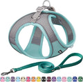 AIITLE Small Harness for Puppy with A Leash - Dog Vest Harness with Super Breathable Mesh, Reflective No-Pull Pet Harness for Outdoor Walking, Running for Small Dogs, Cats Turquoise XXS