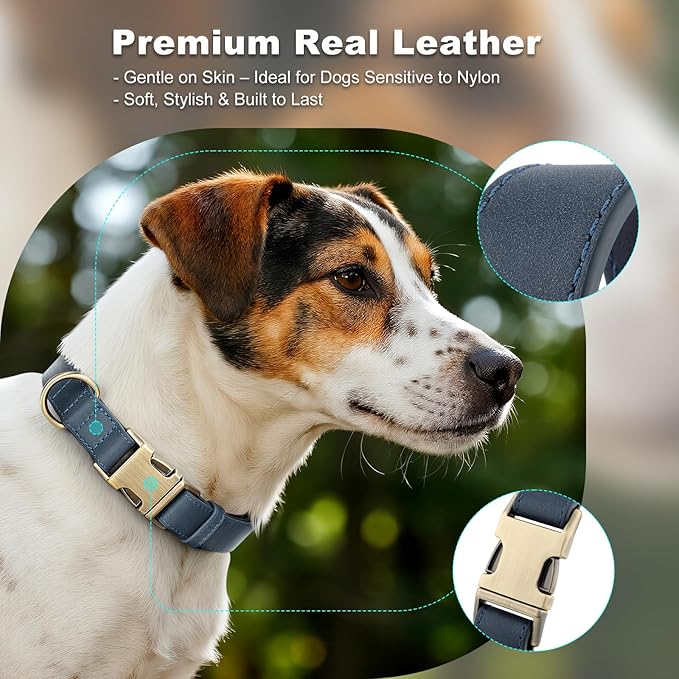 Plutus Pet Genuine Leather Dog Collar – Adjustable Pet Collar with Quick Release Metal Buckle, Soft Real Leather for Small Medium Large Dogs, Heavy Duty & Skin-Friendly (Blue, S)