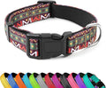 Reflective Dog Collar, Adjustable Soft Neoprene Padded Nylon Pet Collars with Buckle for Puppy and Small Dogs, Cats, Retro Geometric Flowers,M