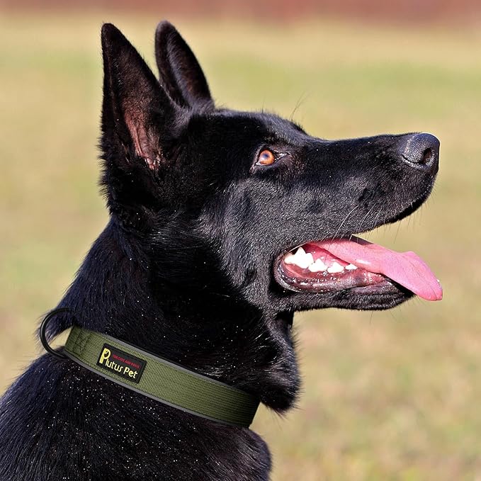 Plutus Pet Tactical Dog Collar, Reflective, Adjustable Heavy Duty Dog Collar, Soft Padded and Comfortable, for Small Medium and Large Dogs (Ranger Green, XS)