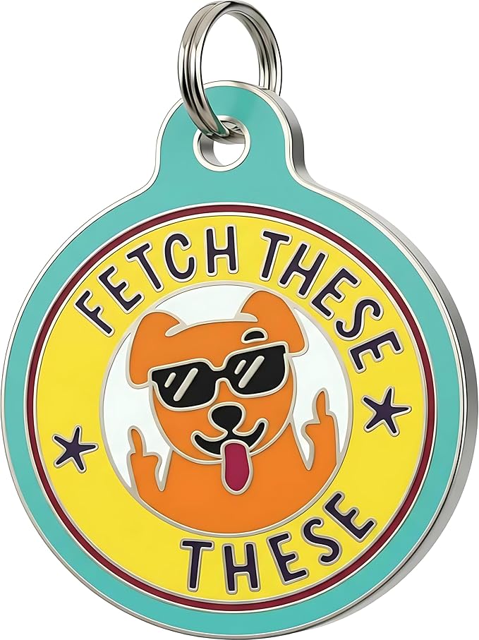 Bad Tags Personalized Dog and Cat ID Tags in 25+ Designs and 2 Sizes - 5 Lines of Custom Engraved Text - Funny Cute Personalized Pet Tags (Fetch These, Small (1 inch))