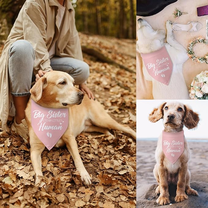 Baby Announcement Dog Bandana Big Sister to My Little Human Gender Reveal Pregnancy Announcement Photo Props Dog Scarf for Large Medium Small Dogs