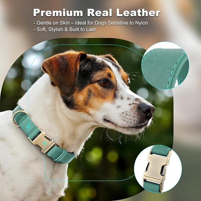 Plutus Pet Genuine Leather Dog Collar – Adjustable Pet Collar with Quick Release Metal Buckle, Soft Real Leather for Small Medium Large Dogs, Heavy Duty & Skin-Friendly (Green, M)