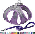 AIITLE Escape Proof Dog Harness - Step in Adjustable Dog Harness No Choke Over with Breathable Mesh and Quick-Release Buckle for All Weather- Outdoor Walking, Training for Medium Dogs Purple XL
