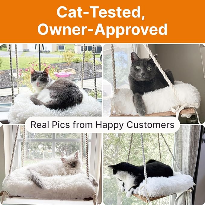 Cat Hammock with Industrial-Grade Suction Cups - Solid Pine Wood Seat, Soft Cushion - 42 lb Capacity