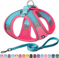 AIITLE Escape Proof Dog Harness - Step in Adjustable Dog Harness No Choke Over with Breathable Mesh and Quick-Release Buckle for All Weather- Outdoor Walking, Training for Medium Dogs Hot Pink XL