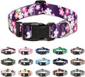 Mercano Adjustable Dog Collar - Special Design Patterns, Soft Nylon Comfortable Sturdy Pet Collar for Small Medium Large Dogs (XS, Floral Pink)