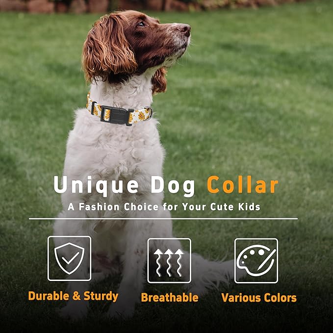 Dog Collar, Floral Boys Girls Puppy Collar for Small Medium Large Dogs, Soft Adjustable Collar with Safety Buckle for Male Females (XS, White Floral)