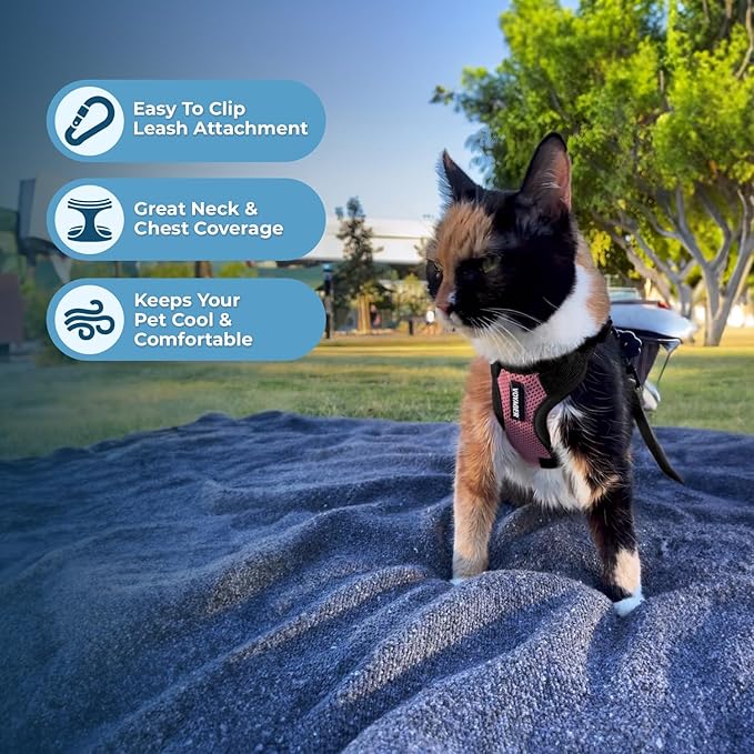 Voyager Escape-Proof Step-in Lock Cat Harness & 5ft Neoprene-Handle Leash Set All-Weather Mesh with Reflective Stitching for Small to Large Cats by Best Pet Supplies, Pink/Black Trim, XXXS