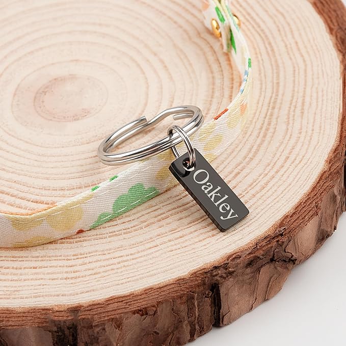 Anavia Small Size Dog Cat ID Tags, Small/XS Personalized Color Plated Stainless Steel Puppy Kitten Name Tags, Customized Engraved Nameplate Pet Collar Tag (Rainbow, XS-Rectangle)