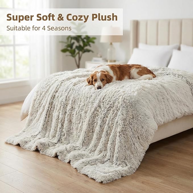 PJYuCien Dog Blankets for Medium Dogs Washable - Fluffy Fuzzy Cat Blanket for Couch, Puppy Throw for Furniture with Polyester Fleece, Super Soft Plush for Pet Kitten Doggy, Grey, 30" x 40"