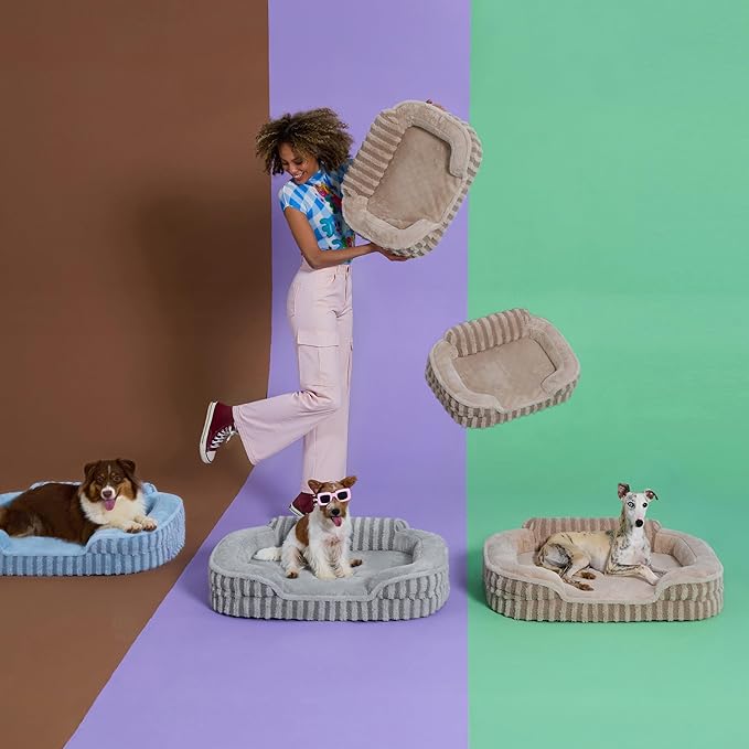 LE SURE Cute Dog Bed for Small Dogs, Orthopedic Waterproof Small Pet Beds with Sides, High Back Non-Slip Bottom and Egg-Crate Foam Puppy Couch Sofa with Washable Removable Cover, Hazel