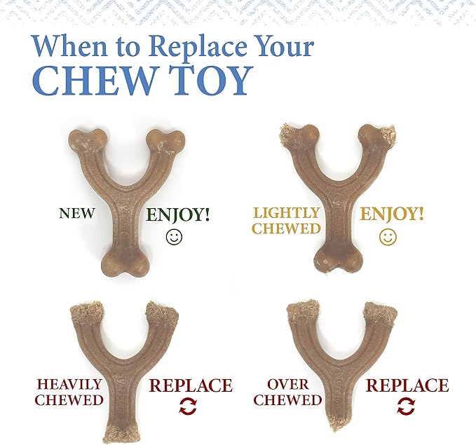 Nylabone Gourmet Style Femur, Wishbone, & Stick Strong Chew Toy for Puppies, Bacon, Chicken & Peanut Butter Flavor, Small - Up to 25 Ibs, 3 Pack