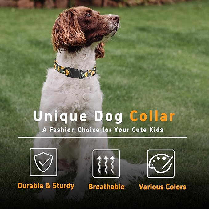Dog Collar for Boys Girls, Sunflower Puppy Collar for Small Medium Large Dogs, Adjustable Soft Floral Pet Collar with Safety Buckle for Male Females(Black Sunflower,M)
