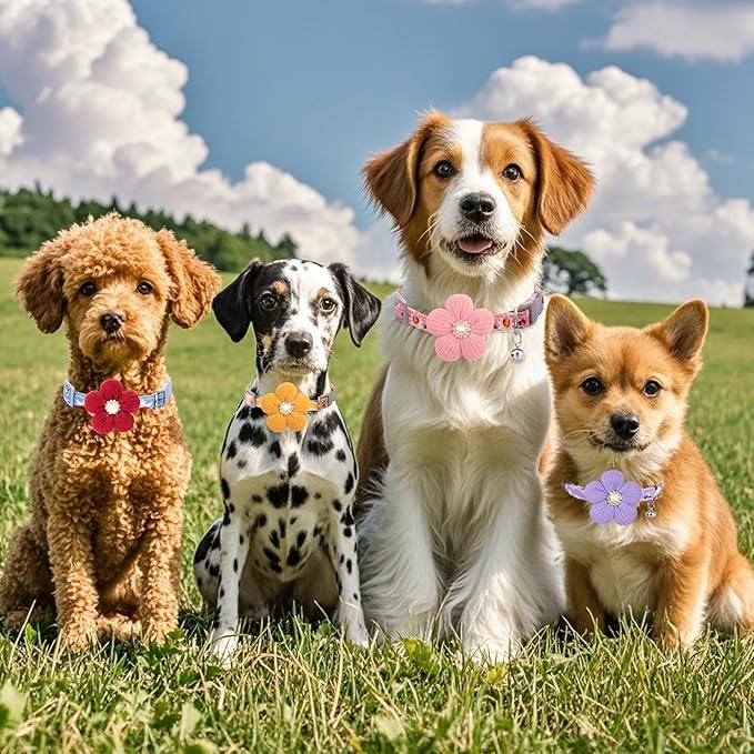 Small Dog Collar with Flower, Puppy Collar for Girl Dog Collars for Small Dogs Cute Dog Collar with Bell, Adjustable Length