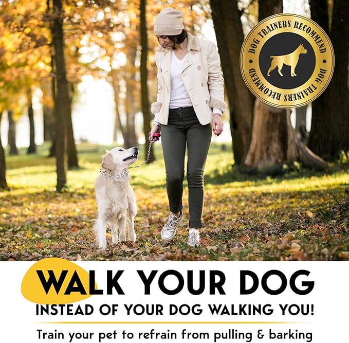 PetJett Prong Collar for Dogs - Choke Collar for Dogs, Pinch Collar for Dog Adjustable Dog Training Collar for Small Medium Large Breed - No Pull Safety Stainless Steel Metal Choker Chain Walking Tool