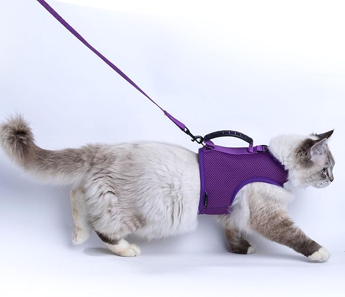 Cat Harness and Leash for Walking Escape Proof Breathable Mesh Fabric, Purple, XX-Large, Adjustable Cat Walking Jackets with Handle, Padded Stylish Cat Vest