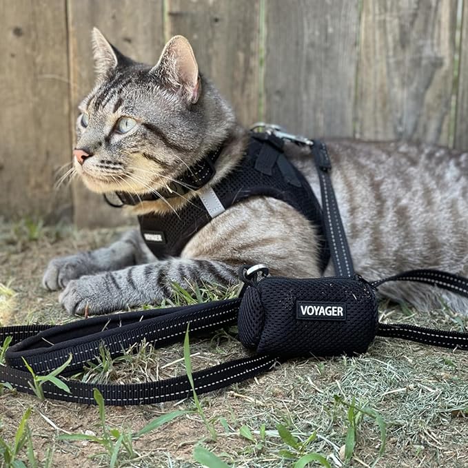 Best Pet Supplies Voyager Step-in Air All Weather Mesh Harness and Reflective Dog 5 ft Leash Combo with Neoprene Handle, for Small, Medium and Large Breed Puppies - Set (Black), M