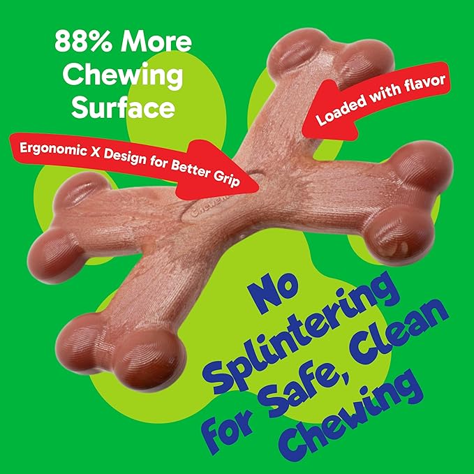 Chew’EMS X Bone Dog Chew Toy for Aggressive Chewers – Long-Lasting Beef Flavor Nylon Bone – Durable, Rawhide-Free Dental Toy - Small Size – Made in USA