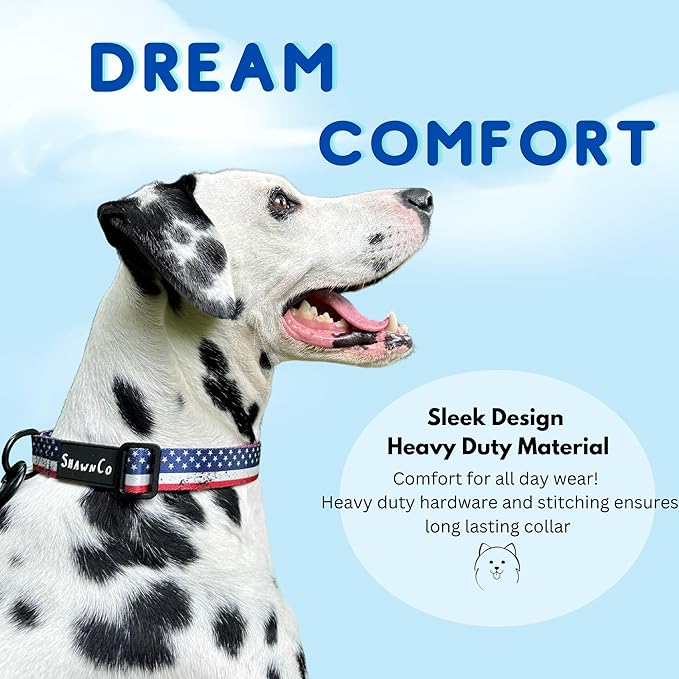 ShawnCo Dream Walk Dog Collar- Premium, Adjustable and Comfortable Pet Collar for Small, Medium, Large and Extra Large Dogs (M, Pacific Blue)