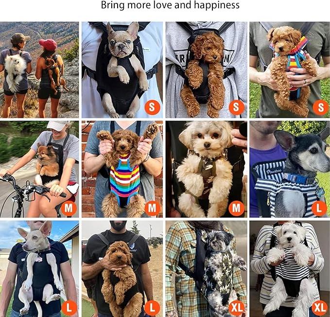 Lightweight Pet Backpack Carrier for Small Dogs & Cats - Easy-Fit Adjustable Straps, Basic Legs-Out Design, Durable for Daily Use (Fits Pets Under 15lb) (Yellow-Blue Color-Blocked, X-Large)