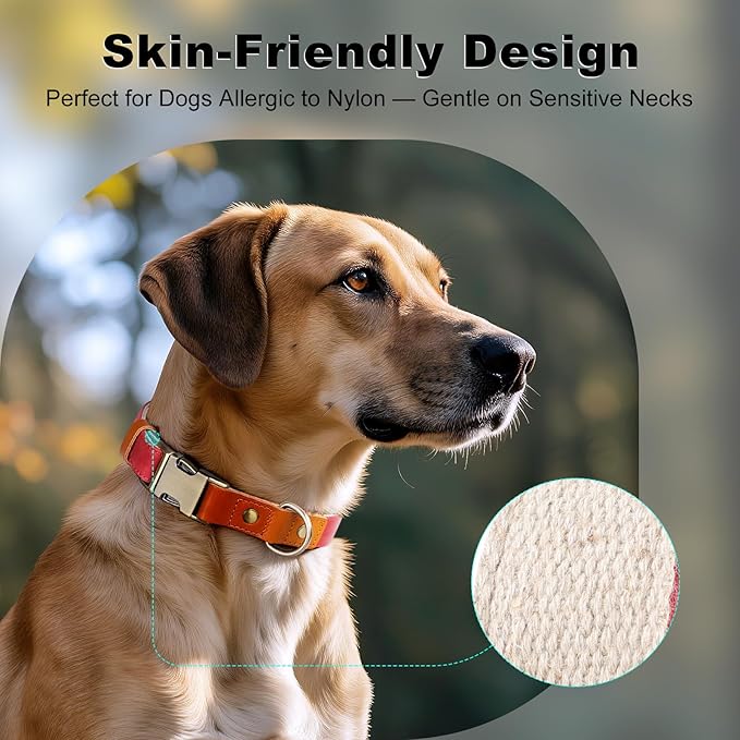 Plutus Pet Genuine Leather & Hemp Dog Collar – Adjustable Heavy Duty Pet Collar with Quick Release Metal Buckle, Soft & Stylish for Puppy and Small, Medium, Large Dogs (Red, M)
