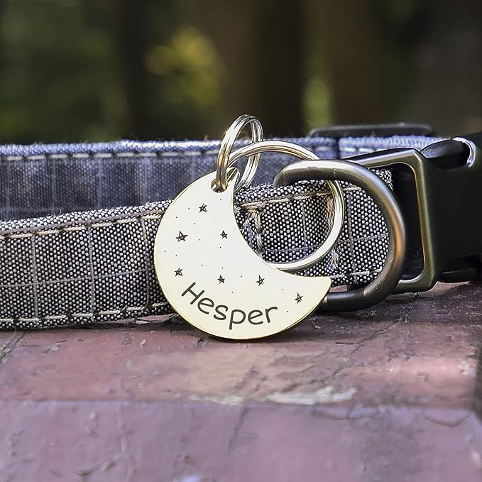 Anavia Small Size Dog Cat ID Tags, Small/XS Personalized Color Plated Stainless Steel Puppy Kitten Name Tags, Customized Engraved Nameplate Pet Collar Tag (Rainbow, Moon)
