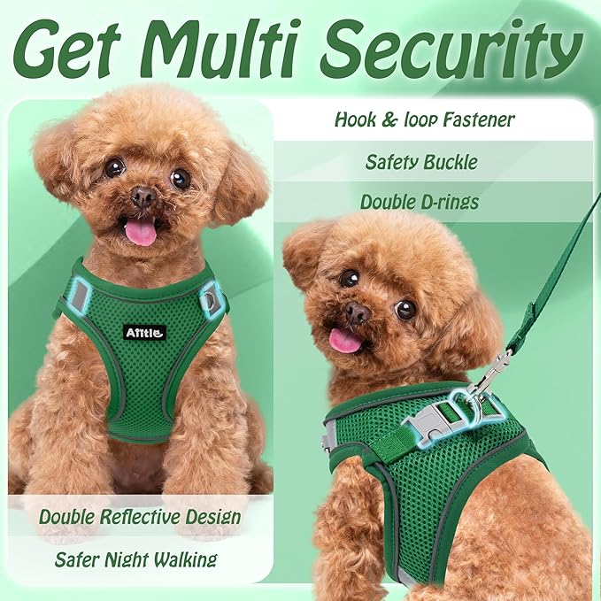 AIITLE Easy Walk Dog Harness and Leash Set - Pet Supply No Pull, Step in Adjustable Pet Harnesses with Padded Vest for Summer, No Choke Over, Easy to Put on Medium Dogs Green L