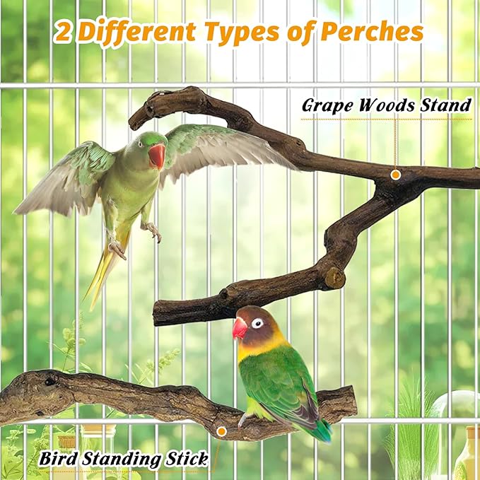 kathson 5pcs Natural Parrot Perch for Cage Wooden Bird Perches Grape Bird Stick Parakeet Climbing Standing Branches Toy Chewable Cage Accessories for Small Budgies Cockatiels Lovebirds Budgies
