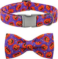 Dog Collar - Halloween Pumpkin Bowtie Pet Collar Gift Soft Bow Collar Pet Adjustable Metal Buckle Puppy Collars for Large Dogs