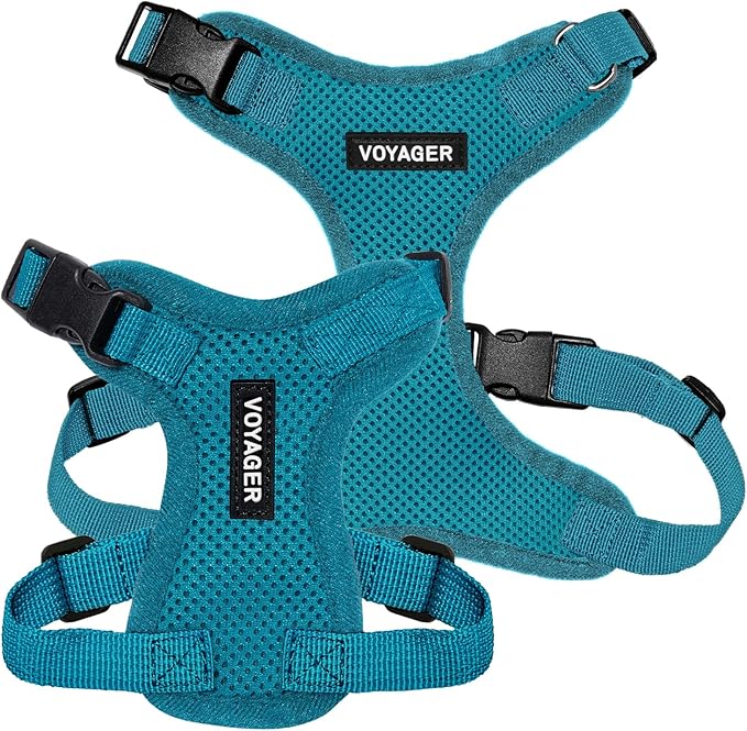 Voyager Step-in Pet Harness - All Weather Mesh, Adjustable Step in Harness for Cats and Dogs by Best Pet Supplies - Turquoise, XS