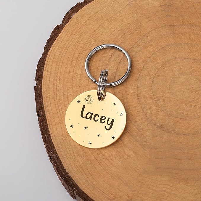 Anavia Small Size Dog Cat ID Tags, Small/XS Personalized Color Plated Stainless Steel Puppy Kitten Name Tags, Customized Engraved Nameplate Pet Collar Tag (Purple, Round)