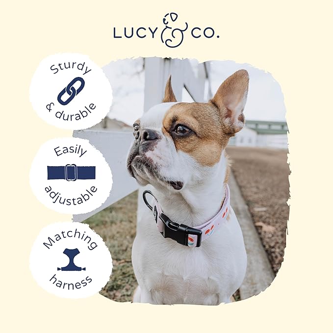 Lucy & Co. Cheery Cherries Dog Collar - Durable Lightweight Designer Collar for Pets - Adjustable Metal Safety Buckel - Red Gingham Cherries – Medium