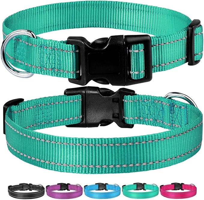 Reflective Dog Collar with Buckle Adjustable Safety Nylon Collars for Small Medium Large Dogs, Green S