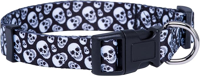Native Pup Skull Dog Collar for Halloween (Large, Skulls)
