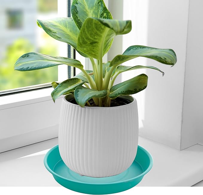 6 Pack of 6 inch Plant Saucer Drainage Tray, 4 5 7 8 10 12 13 15 17 19 inch Plastic Plant Water Tray, Flower Saucers for Indoors, Plant Dishes for Pots Base (6 inch, Teal)
