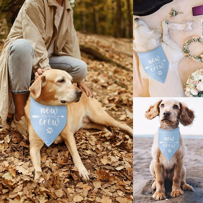 New to The Crew Dog Bandana Puppy Gift for New Owners Gender Reveal Dog Scarf Accessories Baby Announcement Photo Props for Large Medium Small Dogs (Blue)
