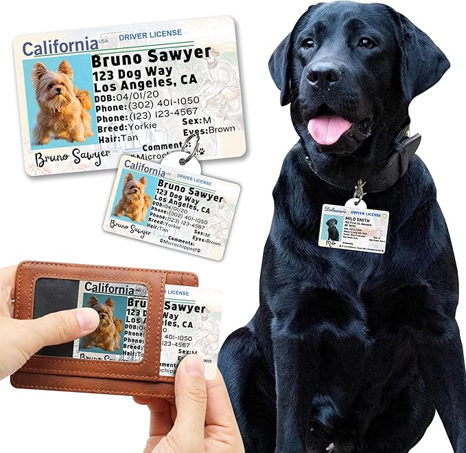 PawFurEver Personalized Dog Driver License ID Tag for Dogs & Cats - Custom Pet License Dog ID Tags Personalized Heavy Duty with Name, Photo & Phone Number, 50 States + DC (Florida, Wallet Card)