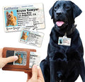 PawFurEver Personalized Dog Driver License ID Tag for Dogs & Cats - Custom Pet License Dog ID Tags Personalized Heavy Duty with Name, Photo & Phone Number, 50 States + DC (Ohio, Wallet Card)