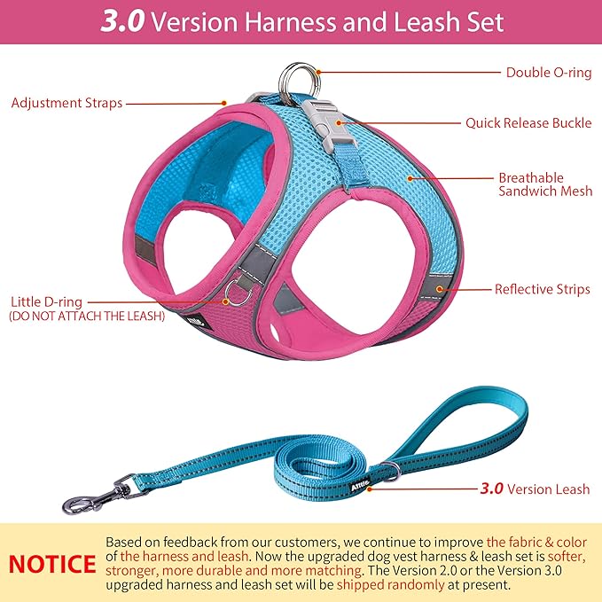 AIITLE Comfortable Dog Harness and Leash Set for Walking - Step in Vest Harness,Reflective Bands, Adjustable No Pull Puppy Essentials, for Small Dogs and House Cats Hot Pink XS