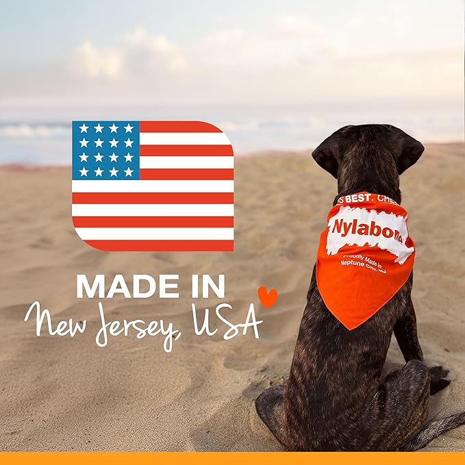 Nylabone Power Chew Antler Alternative Nylon Chew Toy for Dogs, Dog Toys for Aggressive Chewers, Venison Flavor, Large/Giant (1 Count)