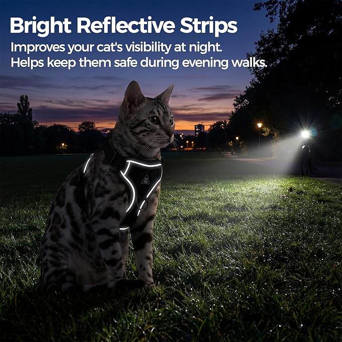 Cat Harness and Leash Set Escape Proof Tactical Large Kitten Harness Emotional Support Cat Vest, Grey, L