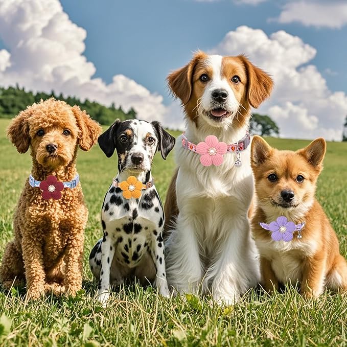 Medium Dog Collar with Flower, Dog Collars for Medium Dogs Collar for Girl Cute Dog Collar with Bell, Adjustable Length