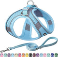 AIITLE Easy Walk Dog Harness and Leash Set - Pet Supply No Pull, Step in Adjustable Dog Harness with Padded Vest, Dog Harness No Choke Over, Easy to Put on Medium Dogs Pure Blue L