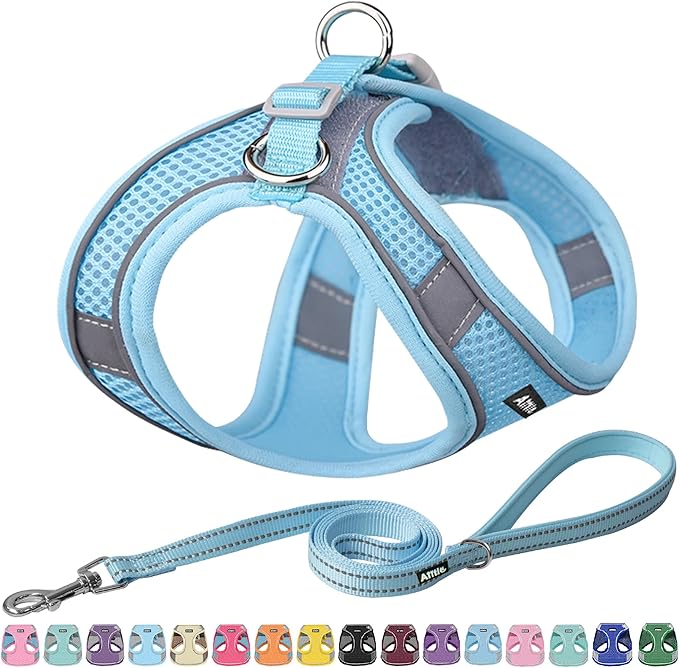 AIITLE Easy Walk Dog Harness and Leash Set - Pet Supply No Pull, Step in Adjustable Dog Harness with Padded Vest, Dog Harness No Choke Over, Easy to Put on Medium Dogs Pure Blue L